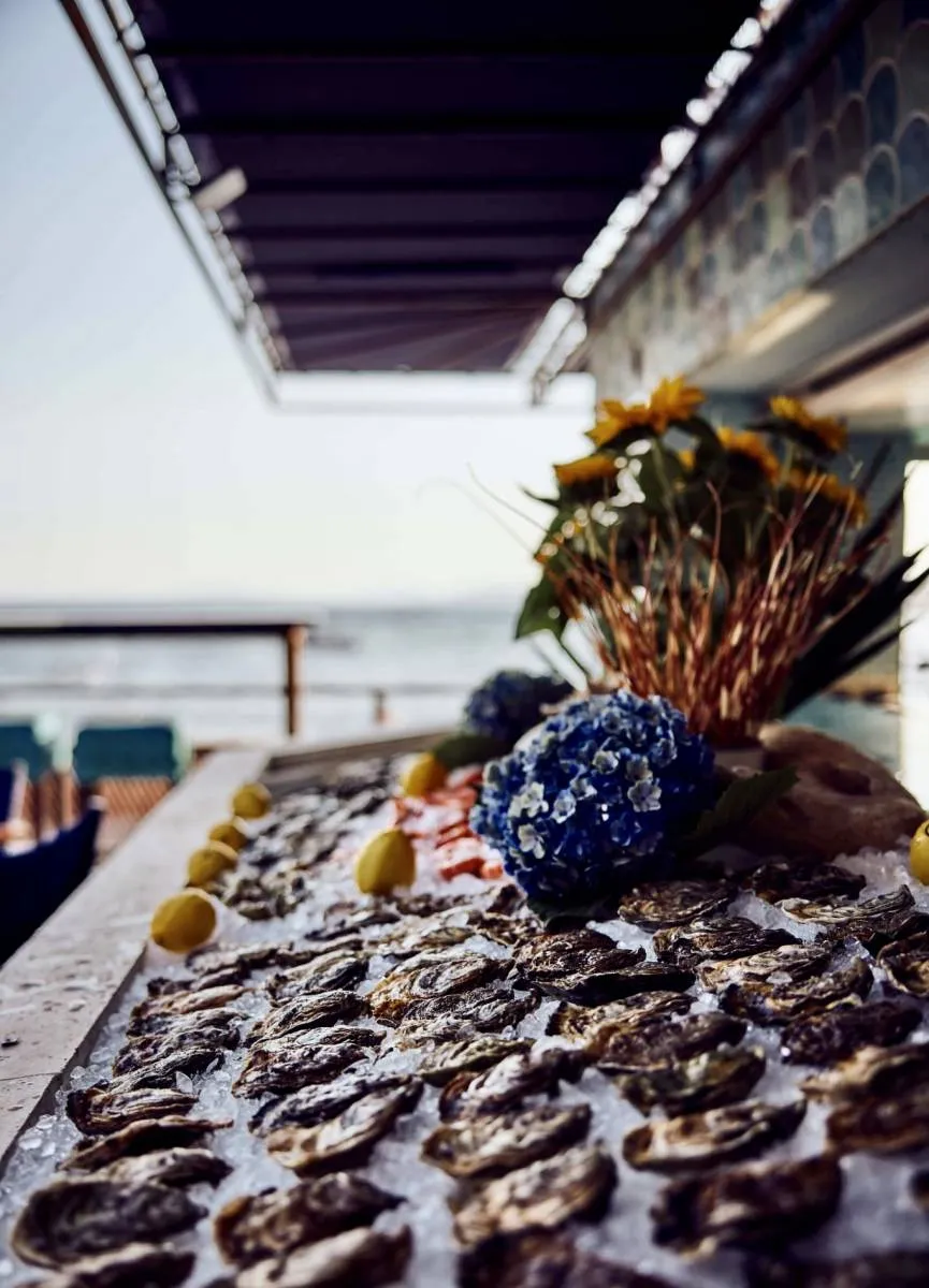 Fruits de mer et poissons frais à emporter à Saint Raphaël — Bistrot Loudet, Saint-Raphaël