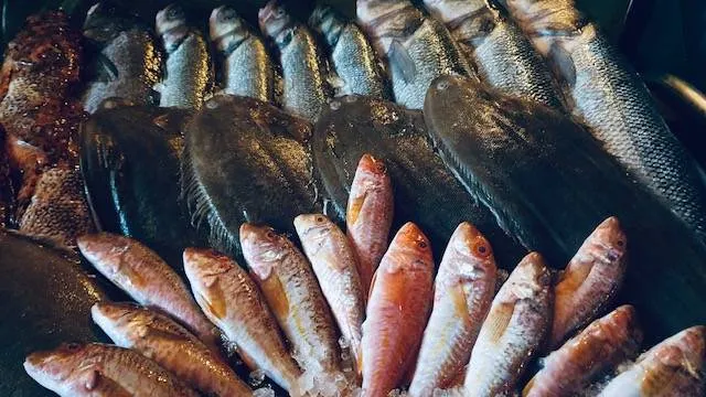 Restaurant avec spécialités de poissons frais à Saint Raphaël dans le Var — Bistrot Loudet, Saint-Raphaël