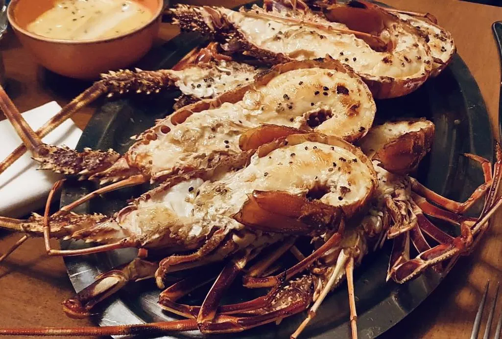 Restaurant avec spécialités de poissons frais à Saint Raphaël dans le Var — Bistrot Loudet, Saint-Raphaël