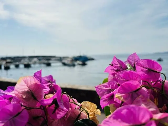 Restaurant vue mer pour fêter un mariage à Saint Raphael dans le Var — Bistrot Loudet, Saint-Raphaël