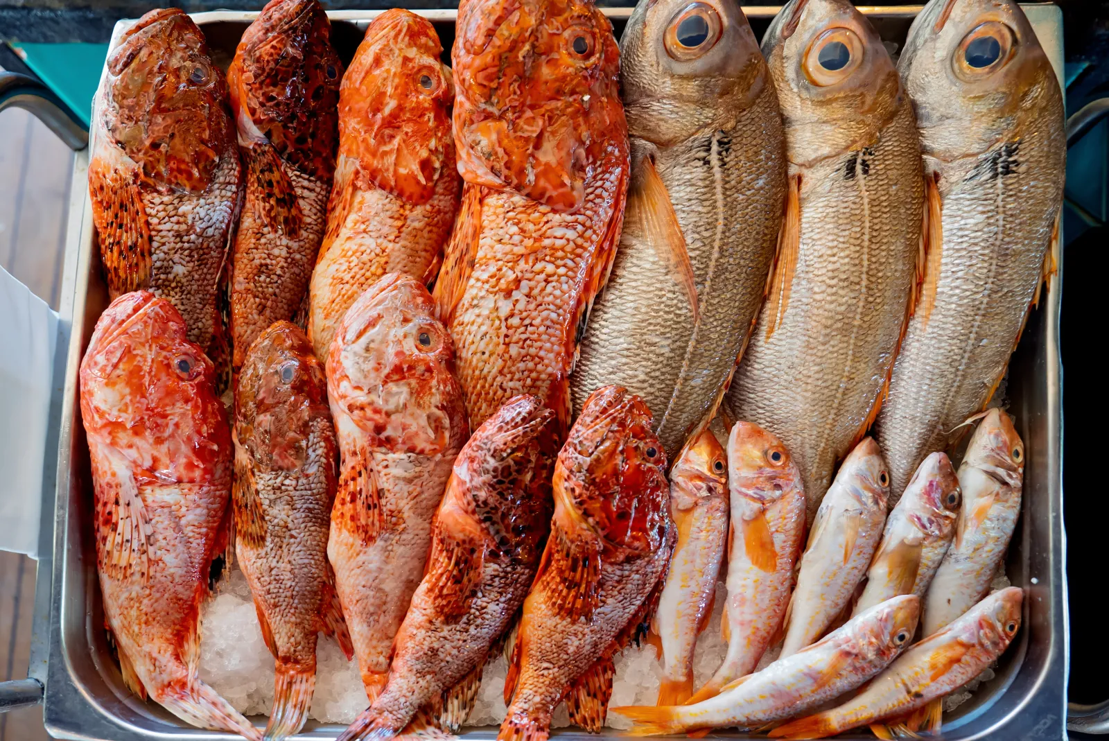 Poissons de roche et rougets frais, pêche du jour du Bistrot Loudet à Saint-Raphaël
